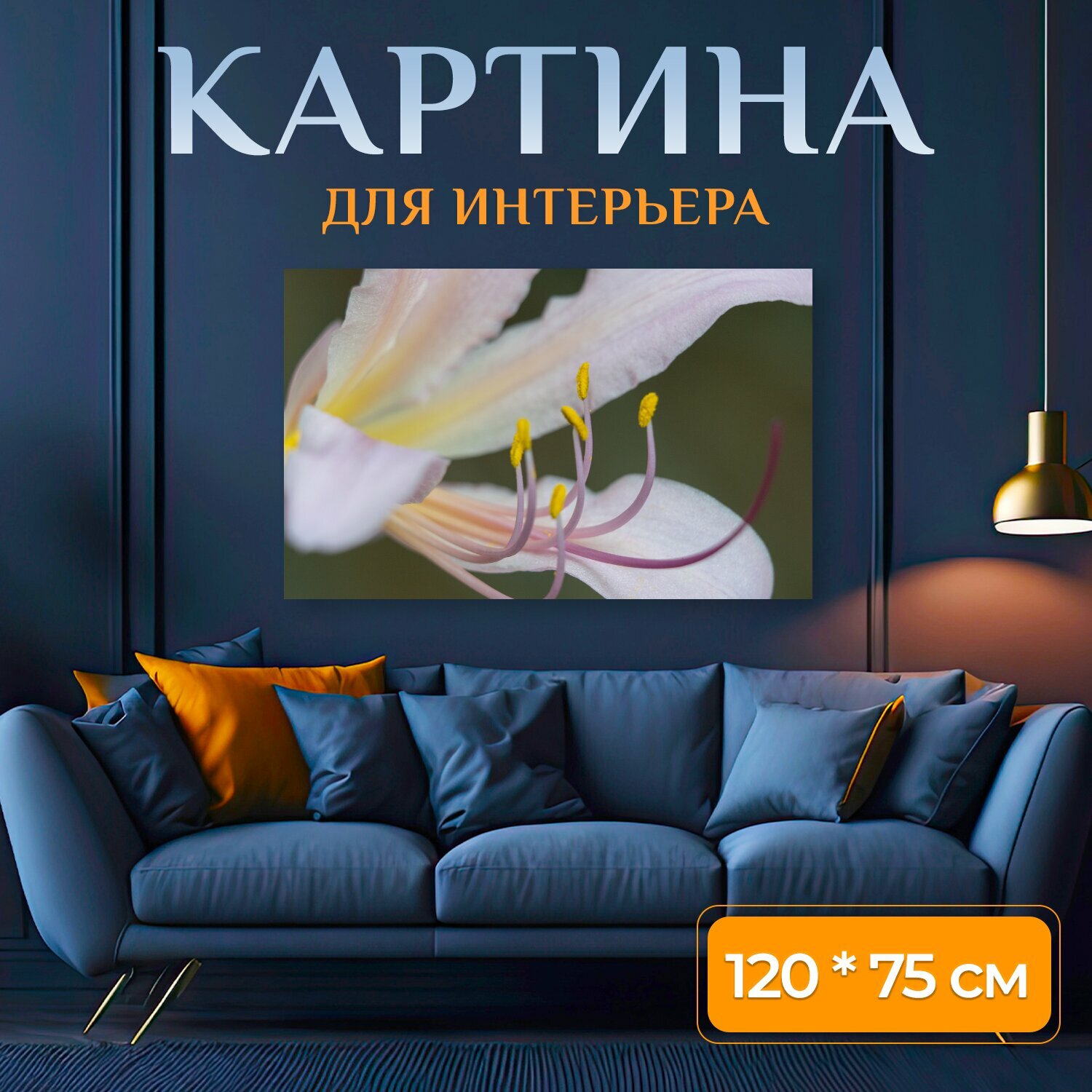 Картина на холсте "Цветок, завод, блум" на подрамнике 120х75 см. для интерьера