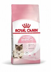 Royal Canin Chihuahua Puppy Корм сухой для щенков породы Чихуахуа до 8 месяцев, 1,5 кг