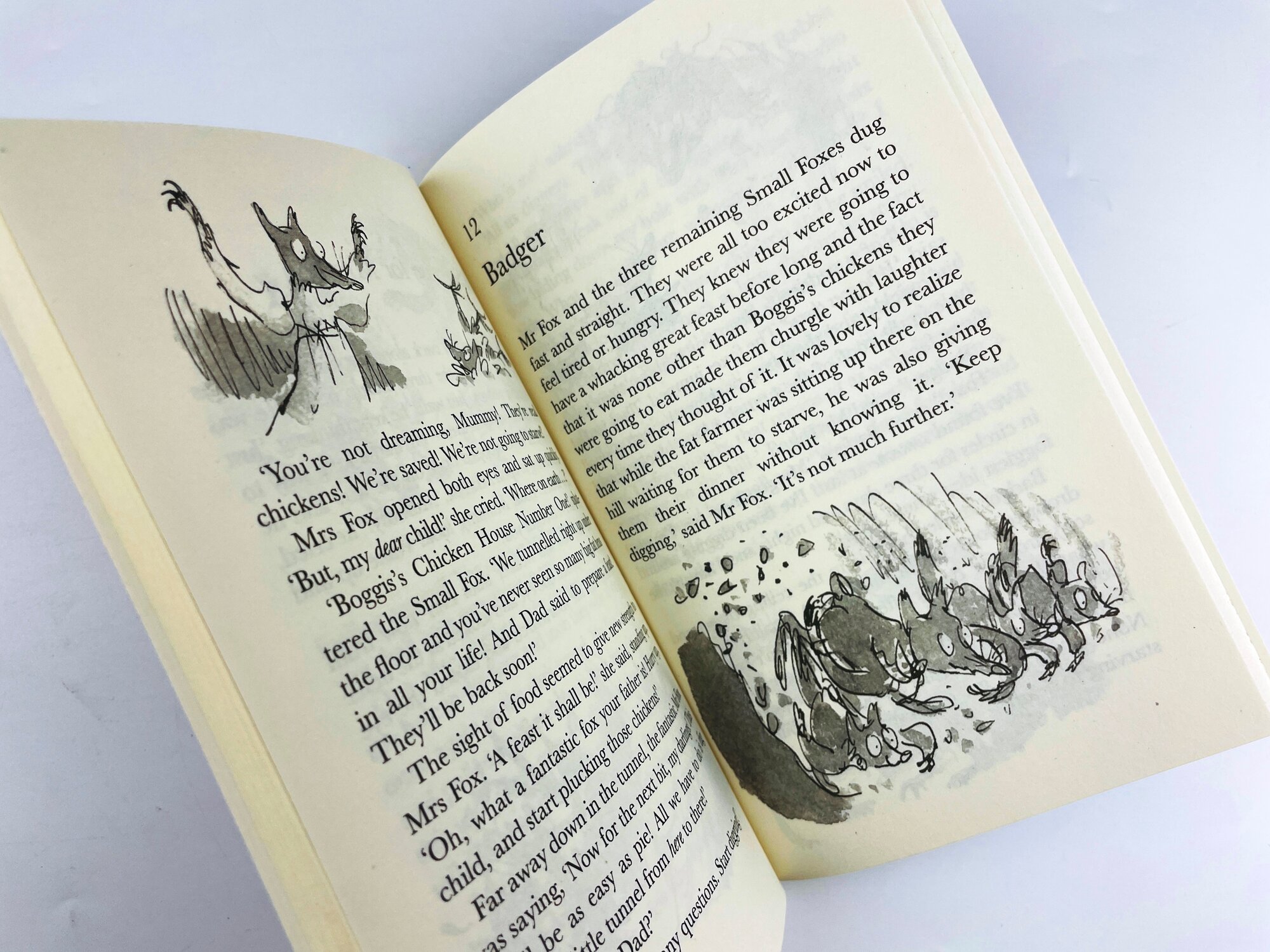 Roald Dahl Collection, 16 книг - фото №5