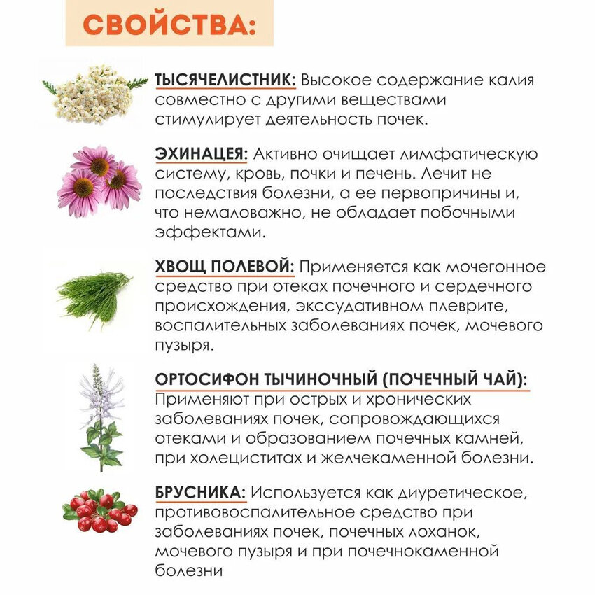 Изображение Чайный напиток "О Самом Главном" №5 травы для почек 2 гр. №30 (2 шт. в наборе)
