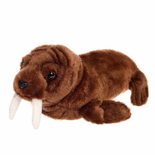 АБВГДЕЙКА Мягкая игрушка «Морж», 25 см