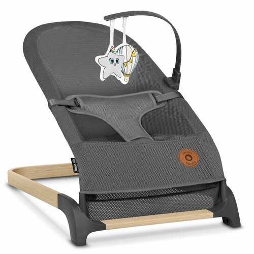 Шезлонг Lionelo June Air Grey Graphite 9950₽