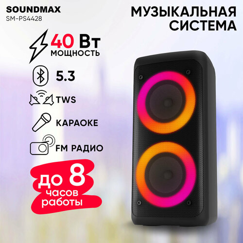 SM-PS4428черный 369200₽
