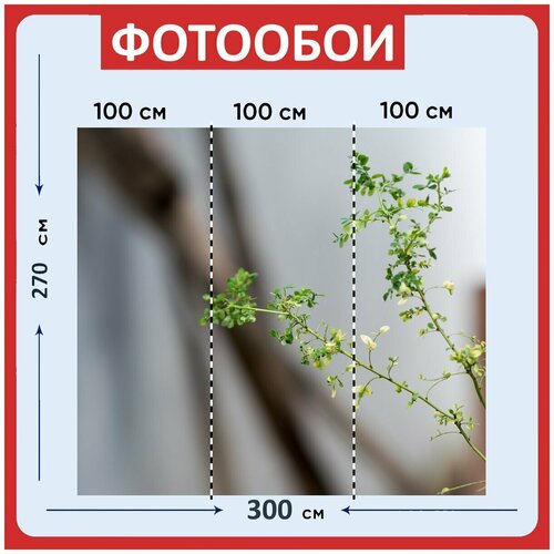 Фотообои Дерево зеленый природа 300x270 см флизелиновыена стену 3980₽