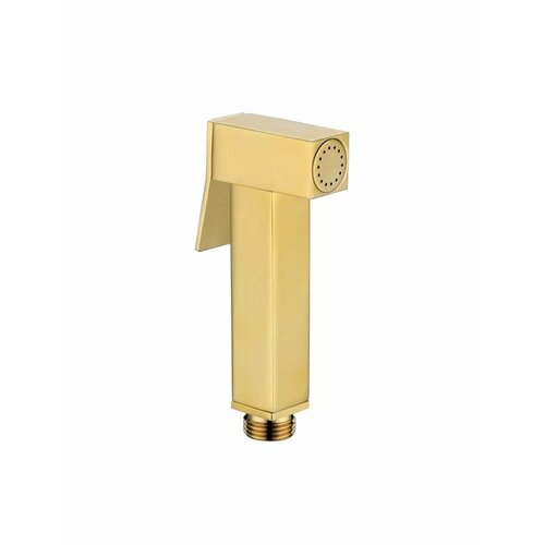 Лейка для гигиенического душа 3149₽