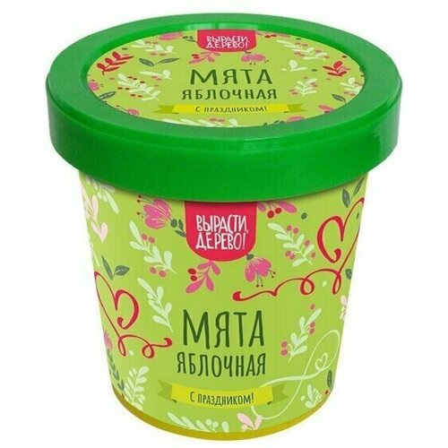 Подарочный набор для выращивания растений Вырасти, Дерево! Мята яблочная zk-117