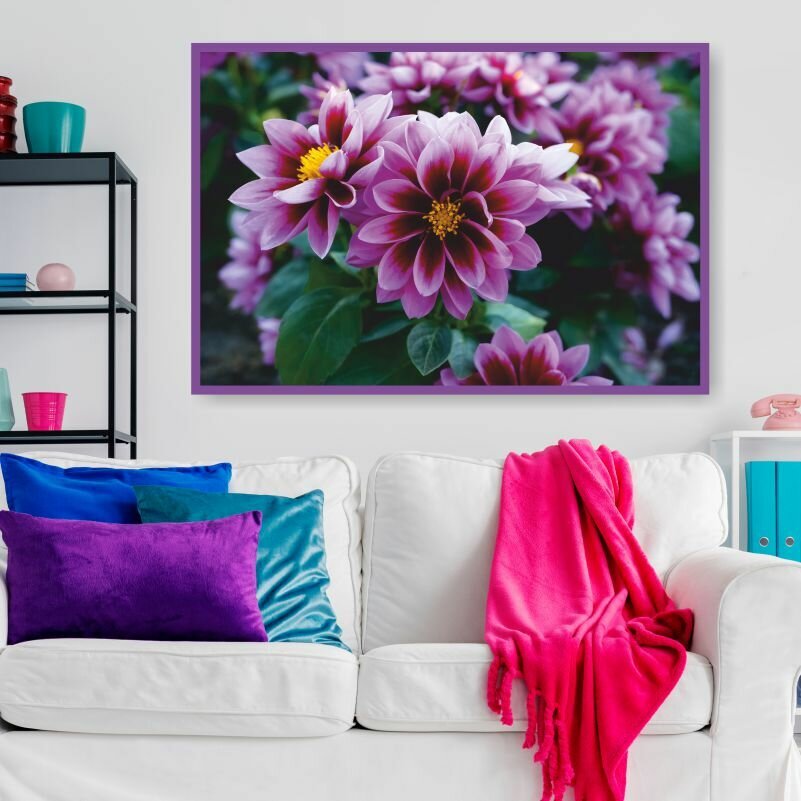 Постер для интерьера Фиолетовые Цветы Георгина 40х30 см в тубусе ПолиЦентр