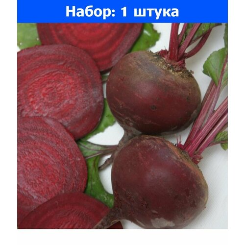 Свекла Бордо 1кг округлая Ср (Поиск) семена 10 упаковок свекла креолка 3г округлая ср поиск