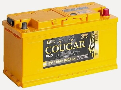 Изображение товара Аккумулятор автомобильный Cougar PRO 110 А/ч 920 A обр. пол. Евро авто (353x175x190)