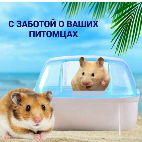 Ванночка для купания 9х12х95см для грызунов 429₽