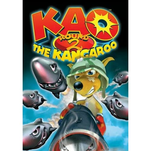 Kao the Kangaroo: Round 2