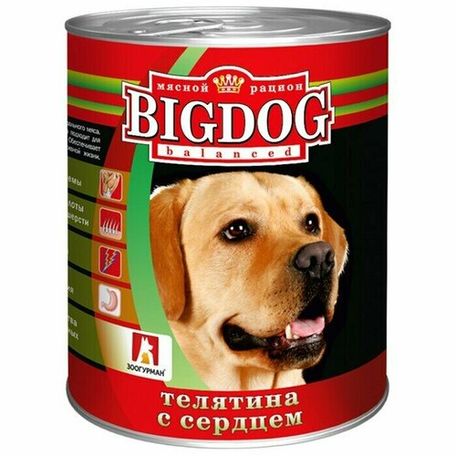 Консервы для собак, Зоогурман BIG DOG, 850гр, телятина с сердцем, 2 шт. зоогурман консервы для собак holistic телятина с зеленой фасолью 5978 0 35 кг 42217 10 шт