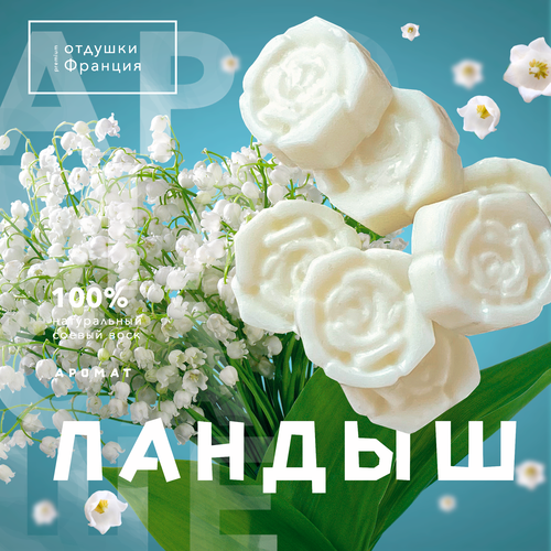 Саше ароматическое для шкафа/натуральное саше из соевого воска 