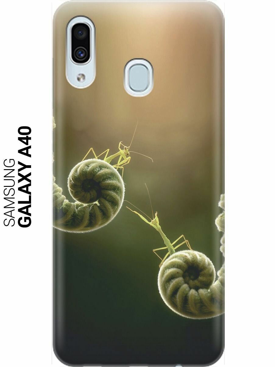 Ультратонкий силиконовый чехол-накладка для Samsung Galaxy A40 с принтом "Пара богомолов"