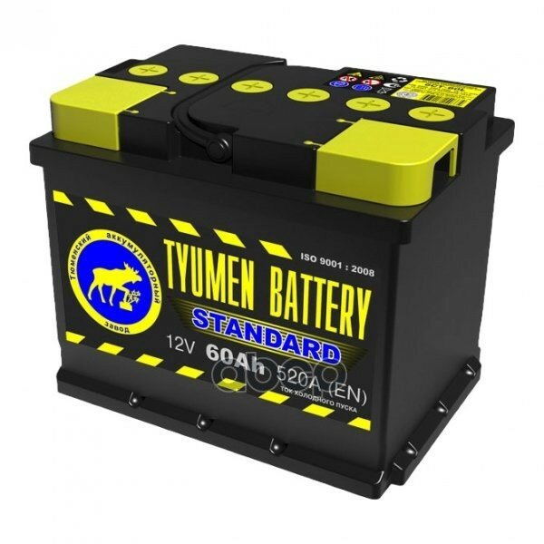 Tyumen Battery Лидер 6мтс 9