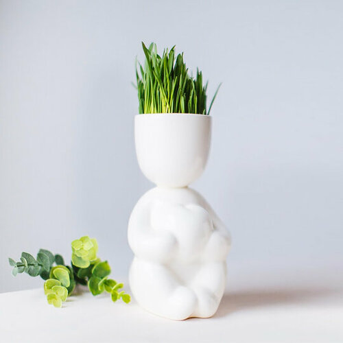 Набор для выращивания EcoMan 'Romantic'