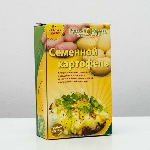 Семенной Картофель среднепозний красный и белый клубень 12 шт, Элита