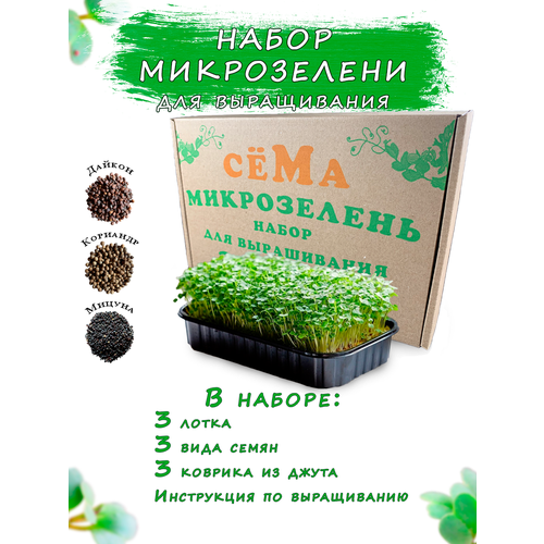 Набор микрозелени для выращивания "Микрохармония" 3 культуры