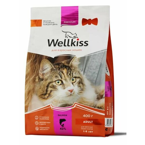 Wellkiss Adult Salmon Корм сухой для кошек, с лососем, 400 гр.