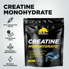 Фото #1 Креатин Моногидрат PRIMEKRAFT Creatine Monohydrate Micronized, Pure (Без вкуса), 500 гр / 100 порций