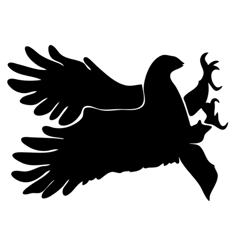 Наклейки-стикеры: силуэты хищных птиц (42 x 30) см - V22 Комплект 10 штук