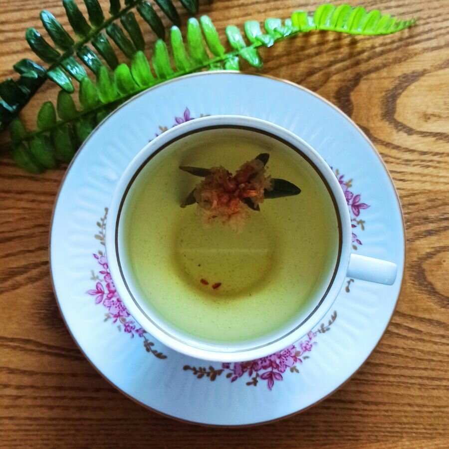 Саган-Дайля травяной чай 20г