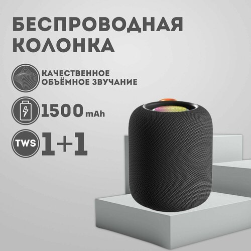 Беспроводная колонка H56 169000₽