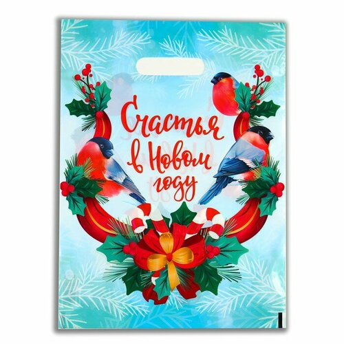 Пакет Счастья в Новом году полиэтилен с вырубн ручкой 30х40 см 50 мкм набор 10 штук 580₽