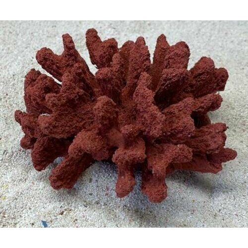 Grotaqua Цветной коралл красный Коралл брокколи, 14*13*7 см