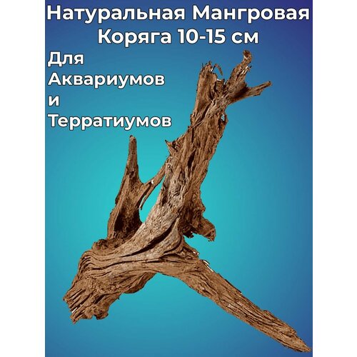 Натуральная декорация Мангровая коряга для аквариума 10-15 см
