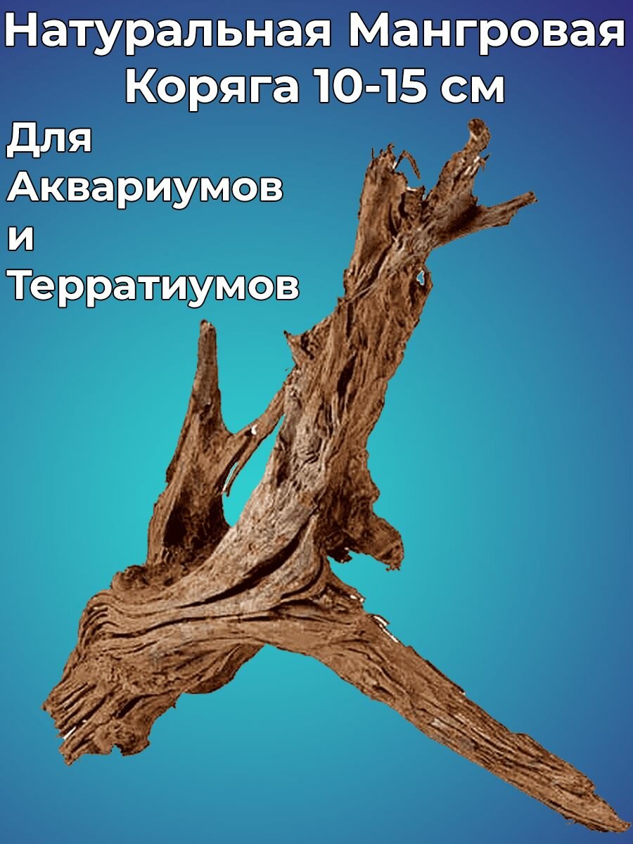 Натуральная декорация Мангровая коряга для аквариума 10-15 см
