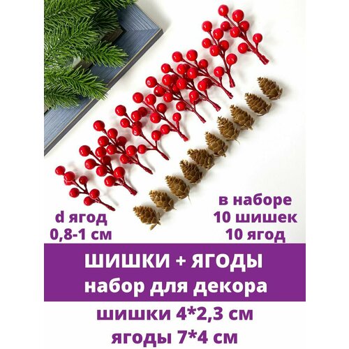 Набор из шишек(10 штук) и ягод(10 штук), для декора и творчества