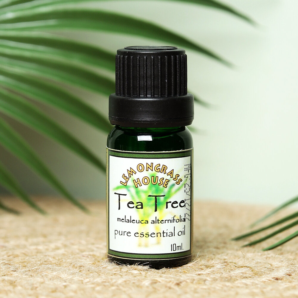 фото Эфирное масло "Чайное дерево" (Melaleuca alternifolia) 10мл, Лемонграсс Хаус (Таиланд)