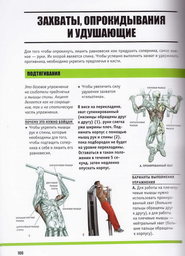 Анатомия Боя. Силовые упражнения для боевых искусств - фото №11
