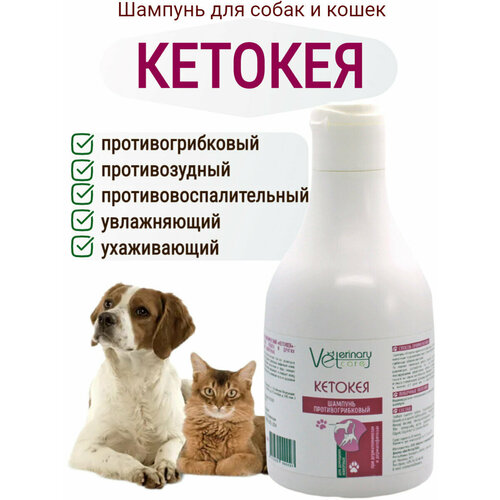 Антибактериальный шампунь Кетокея при дерматите для собак и кошек, 240 мл.