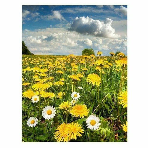 Обогрев настенный Поле 118000₽