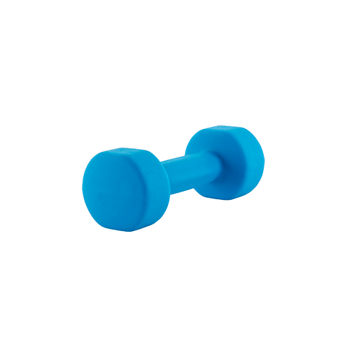 Гантель для аэробики неопреновая PRCTZ NEOPRENE DUMBBELL 2 кг 794₽