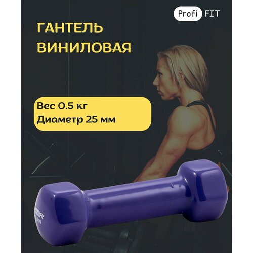 Гантель в виниловой оболочке, шестигранник 0,5 кг, фиолетовая PROFI-FIT гантель profi fit в виниловой оболочке 2 кг оранжевый