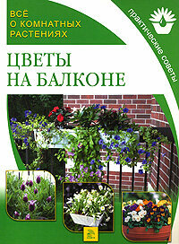 Цветы на балконе - фото №2