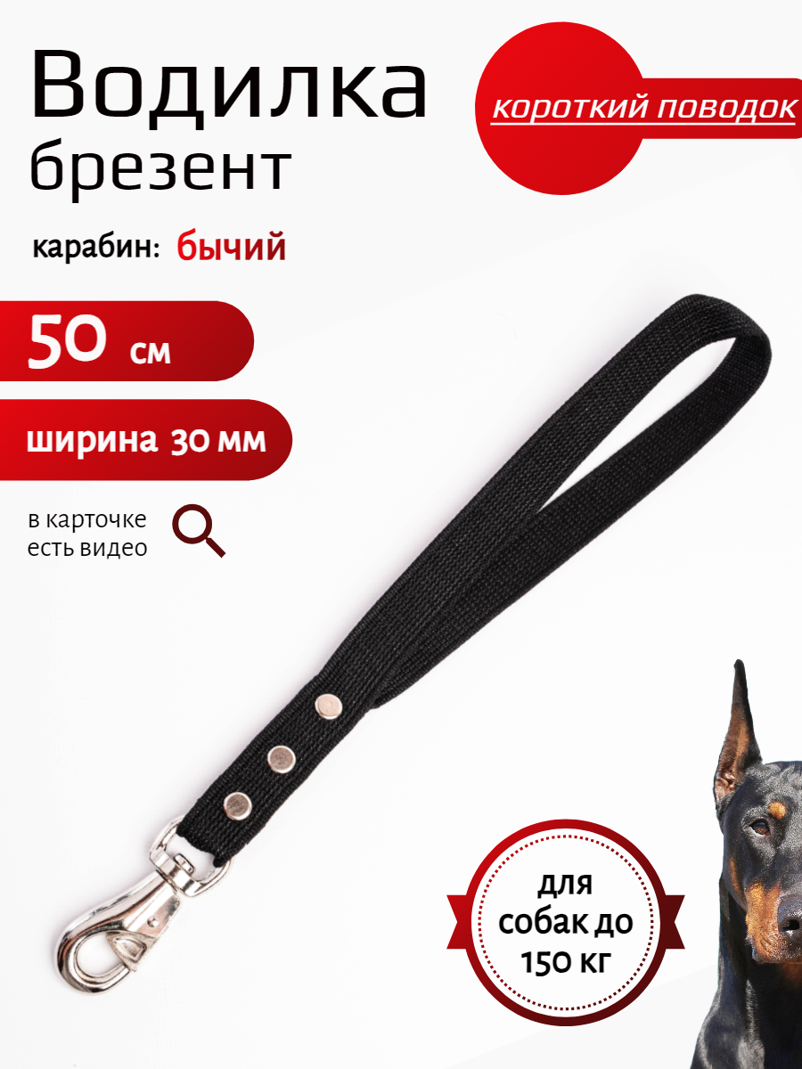 Поводок для собак с бычьим карабином брезент 1 м х 30 мм (черный)
