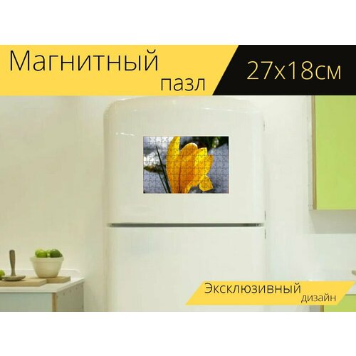 Магнитный пазл Крокус, крокусы, желтый на холодильник 27 x 18 см. магнитный пазл крокус крокусы синий на холодильник 27 x 18 см