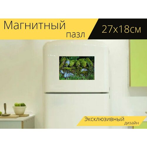 Магнитный пазл Стена, мох, заросший мхом на холодильник 27 x 18 см. магнитный пазл проход заросший романтичный на холодильник 27 x 18 см