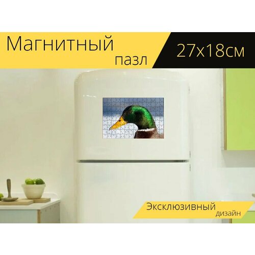 Магнитный пазл Кряква, утка, вода на холодильник 27 x 18 см. магнитный пазл утка пр вода на холодильник 27 x 18 см
