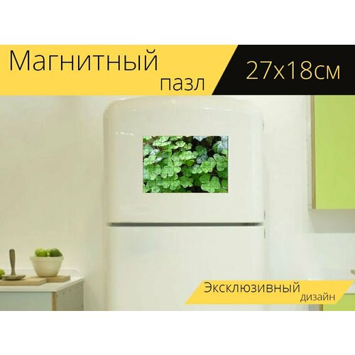 фото Магнитный пазл "клевер, четырёхлистный клевер, зеленый" на холодильник 27 x 18 см. lotsprints