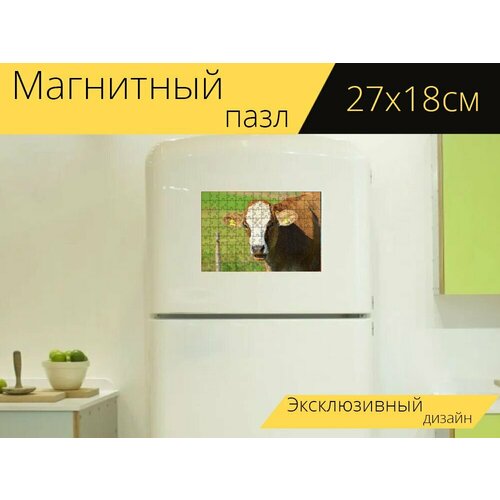Магнитный пазл Корова, животное, говядина на холодильник 27 x 18 см. магнитный пазл корова животное корейский медицинский центр на холодильник 27 x 18 см