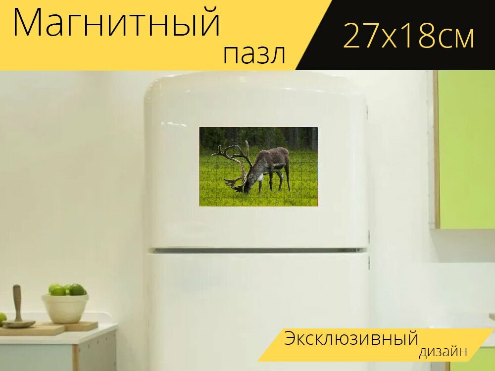 Магнитный пазл "Финляндия, северный олень, пастись" на холодильник 27 x 18 см.