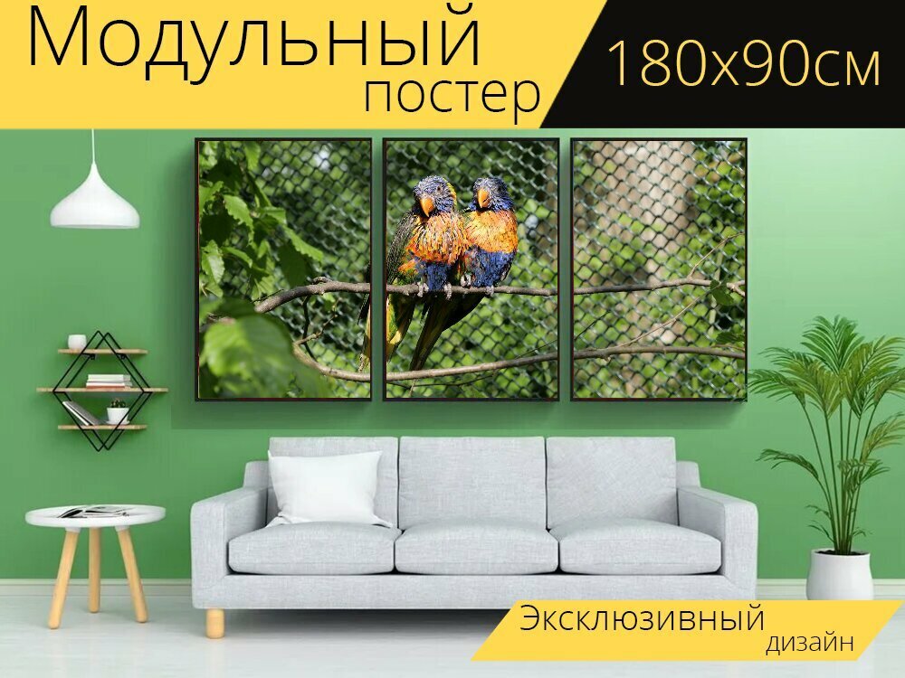 Модульный постер "Попугаи loriini лорикет" 180 x 90 см. для интерьера