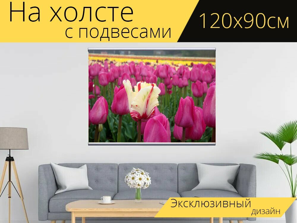 Картина на холсте "Тюльпаны, все цвета, голландия" с подвесами 120х90 см. для интерьера