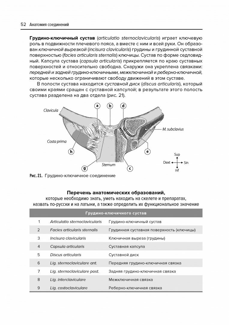 Анатомия соединений (Козлов Валентин Иванович) - фото №18