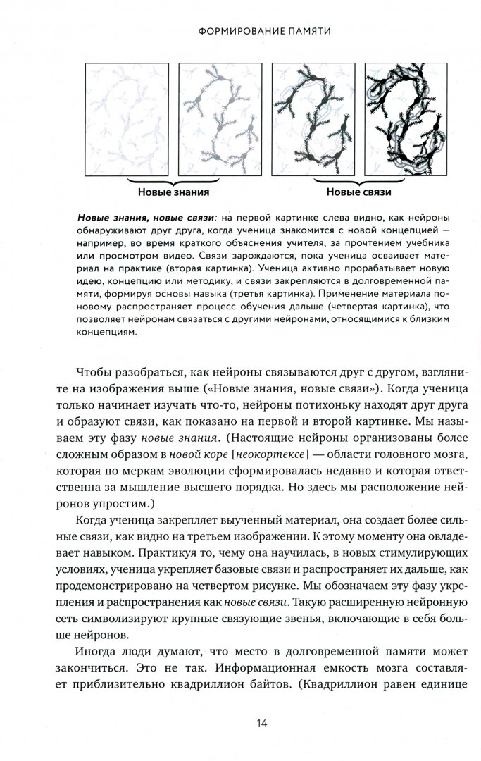 Научить невозможному. Как помочь ученикам освоить любой предмет и не бояться экзаменов - фото №18